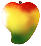 Studio Mango Logo